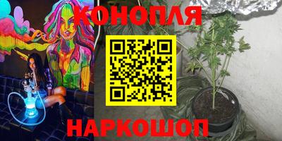 меф Кингисепп