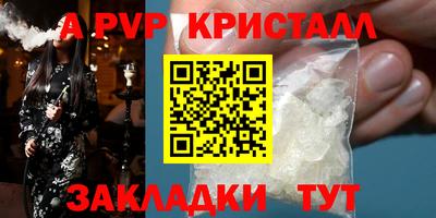 меф Кингисепп